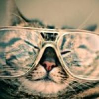 guest-4-nb873nhl9h8vgvlsdvk5hrmzdbb9ni10dyv2ugszbk-nbuqbp9dshdz6p3e8zjxtq70lq9s0f2uklamwto4i8